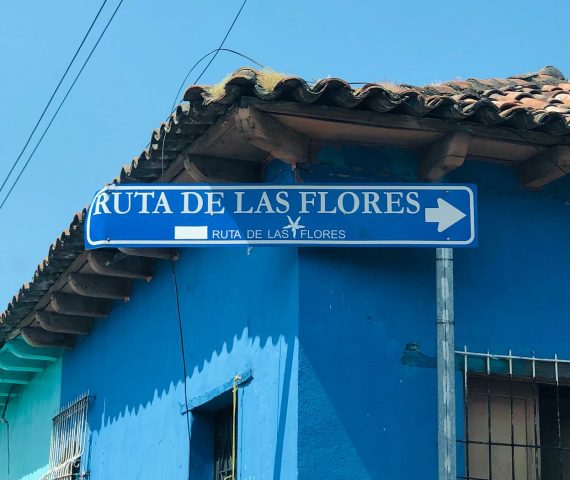 RTFlore
