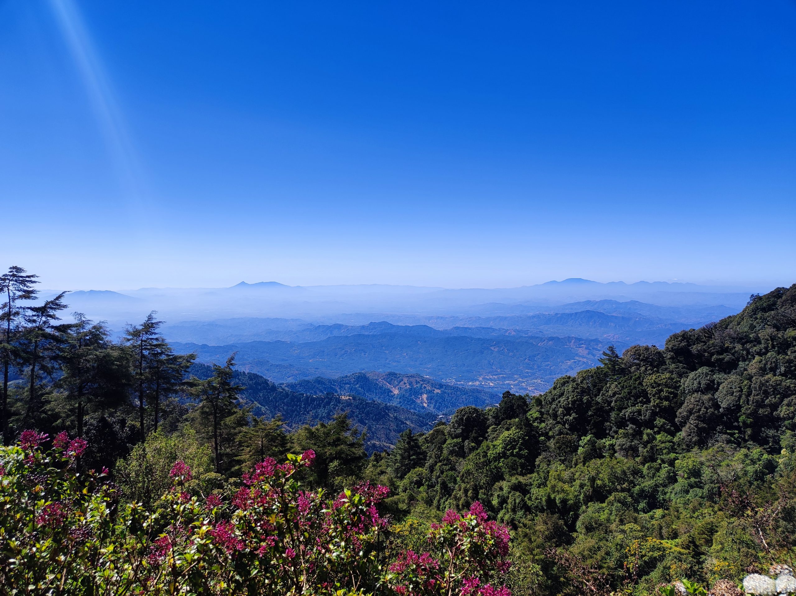 Fresh Highlands Tour